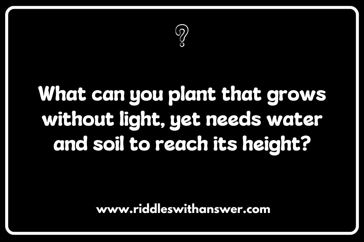 Plants and Their Preferences: Intriguing Soil and Gardening Riddles