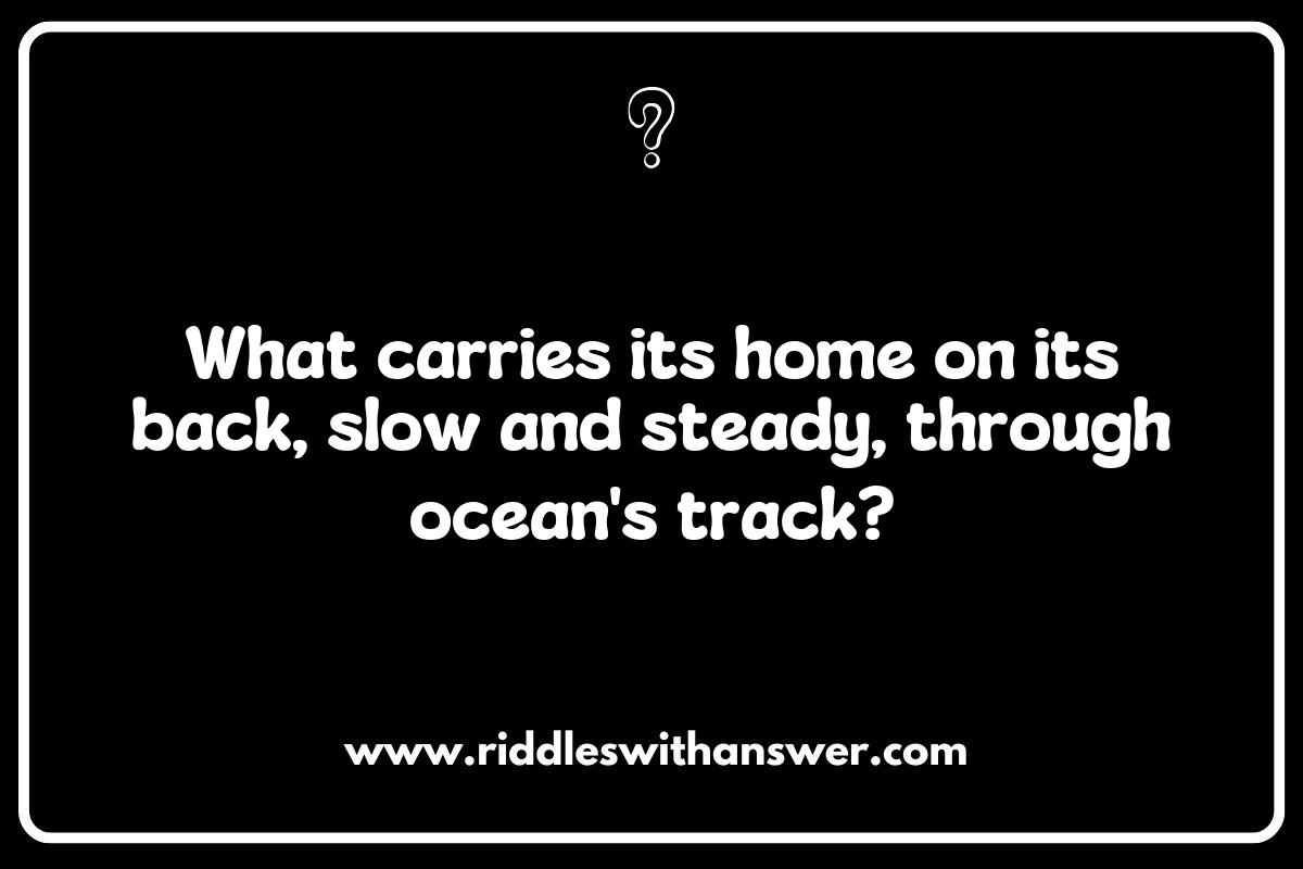 Playful Sea Turtle Riddles to Spark Imagination