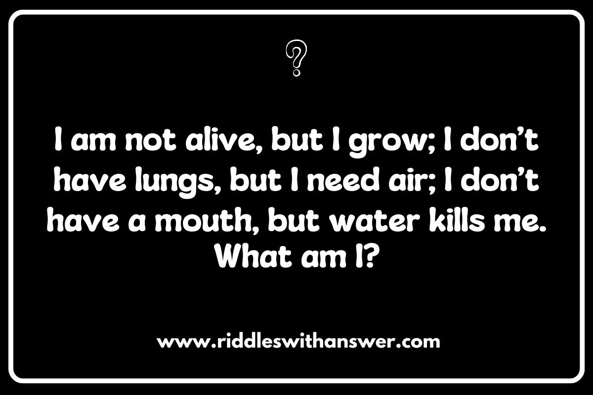 Popular Formats for Guess the Word Riddles: From Classic to Digital