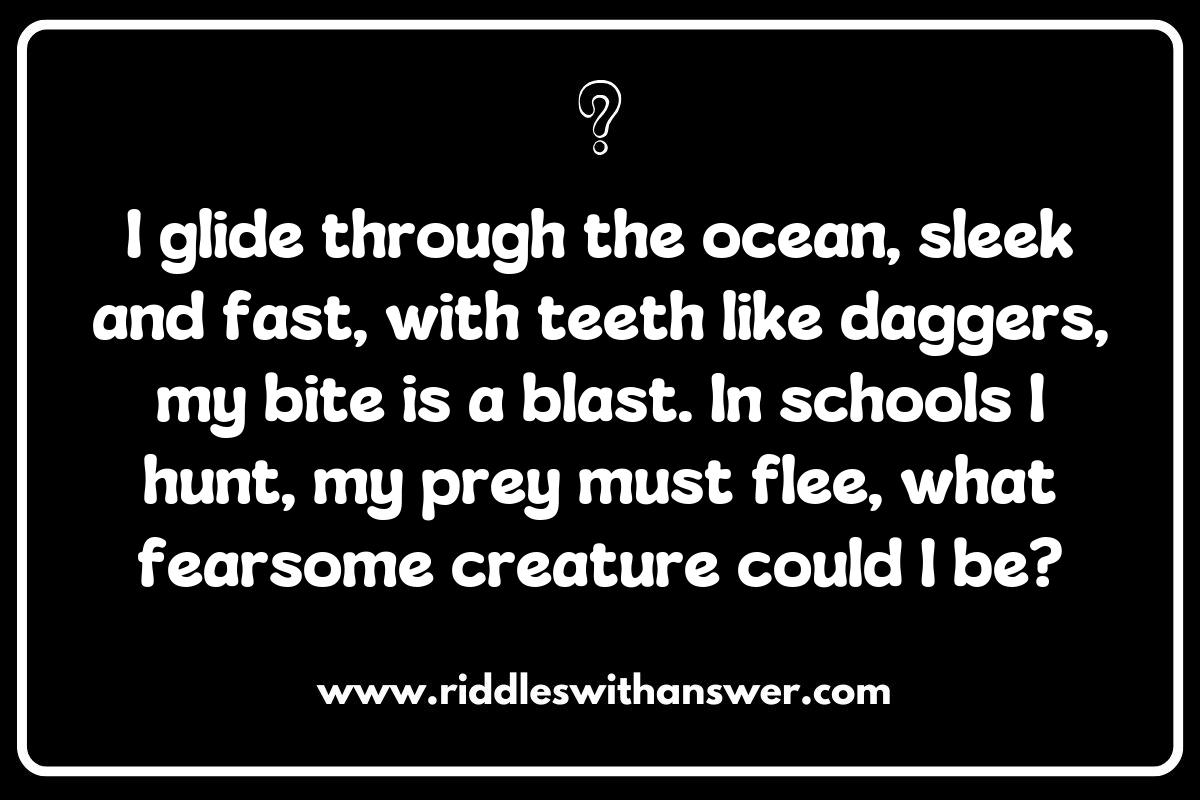 Predators and Prey: Exciting Marine Ecosystem Riddles to Solve