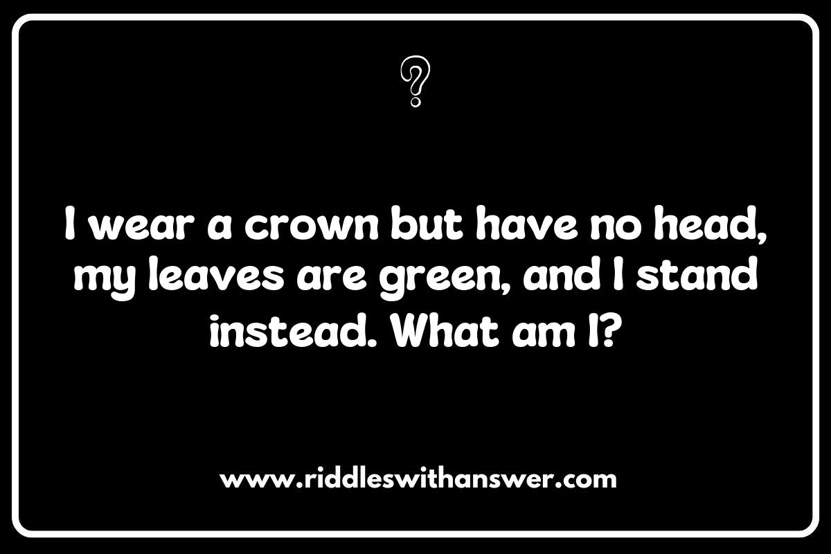 Rainforest Riddles for Kids: Fun and Educational Puzzles