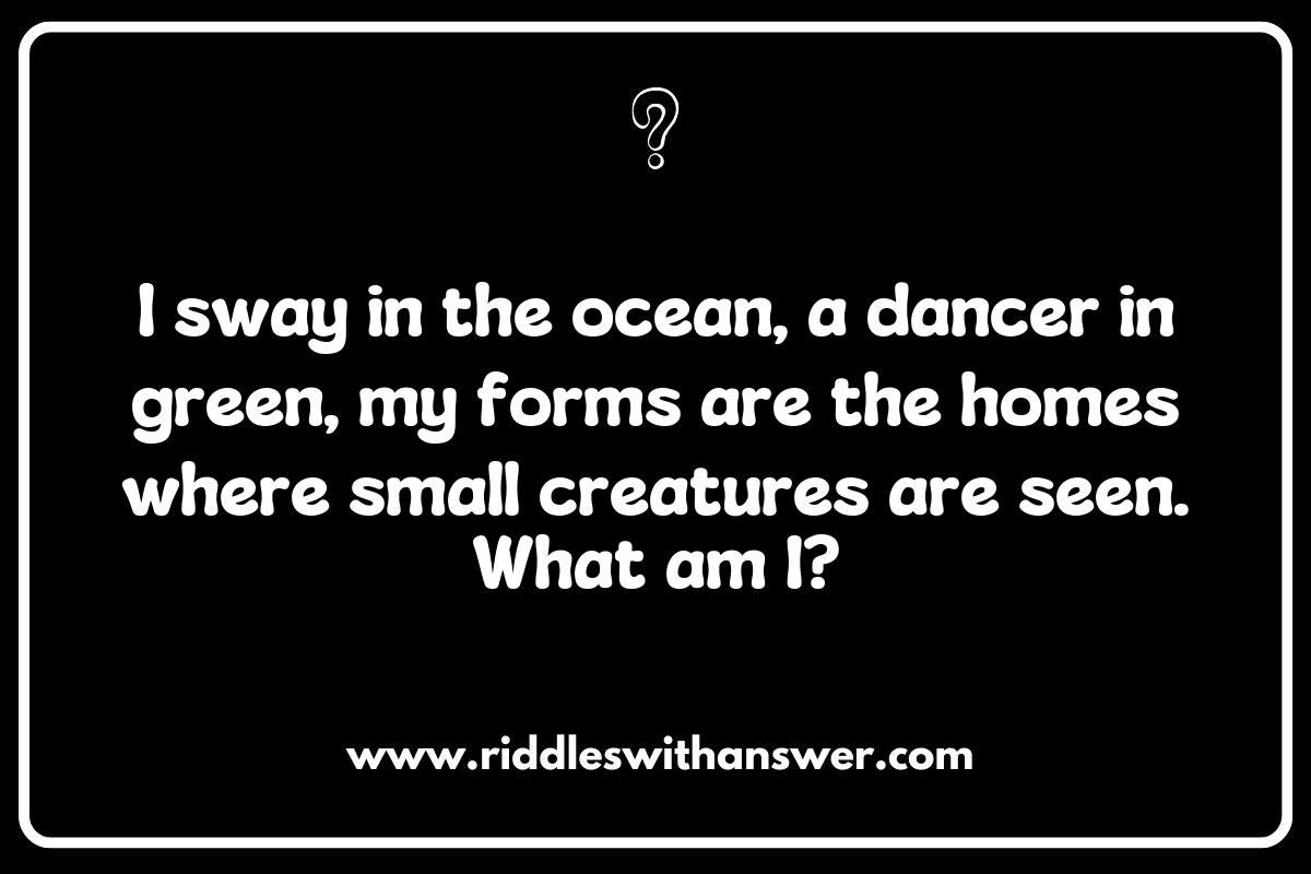 Riddles of the Tide: Seaweed and Kelp in Marine Ecosystems