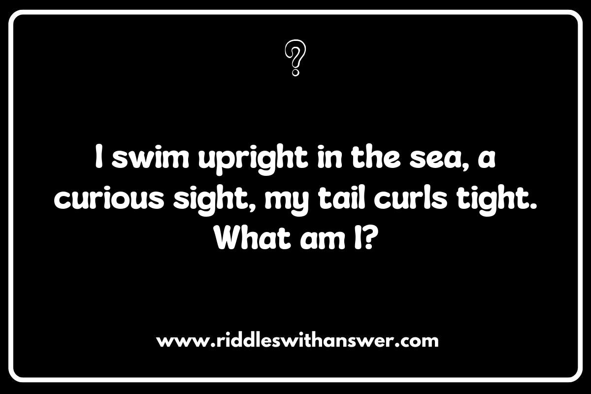 Seahorse Riddles: Fun Facts and Fascinating Figures