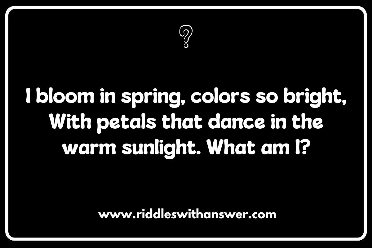 Seasonal Changes: Riddles That Highlight Flora and Fauna Transitions