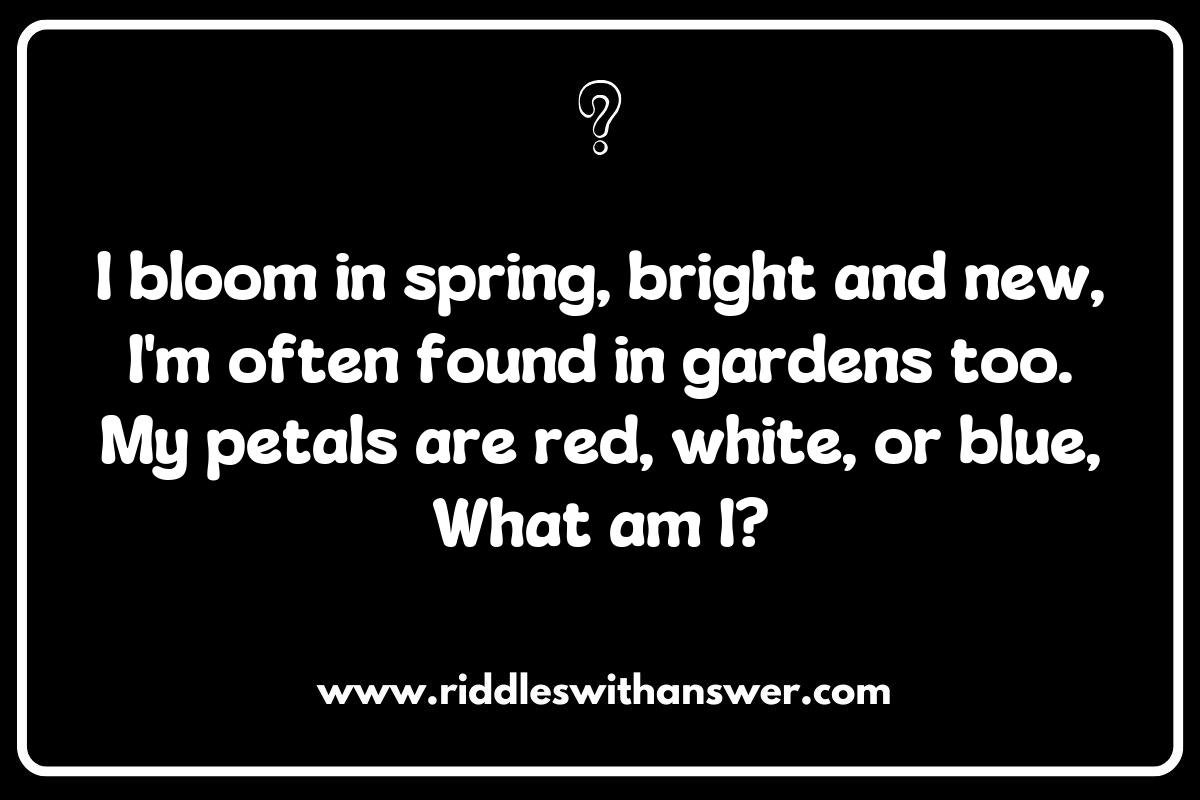 Seasonal Color Riddles for Kids: Celebrating Colors Throughout the Year