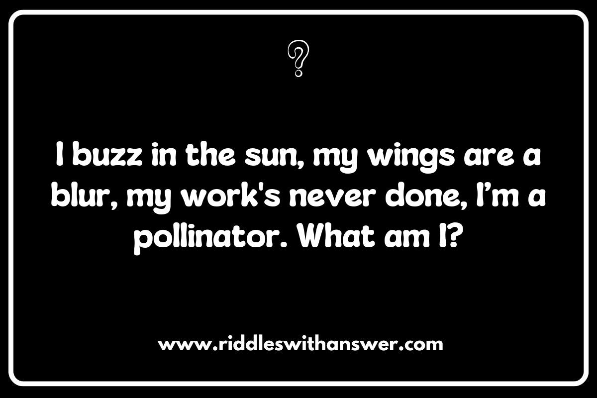 Seasonal Insect and Bug Riddles: Exploring Nature’s Cycles