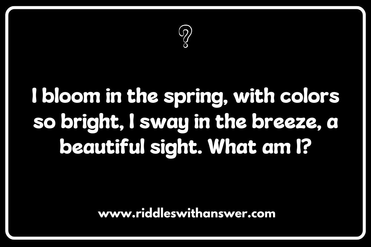Seasonal Nature Riddles for Kids: Celebrate Nature Year-Round