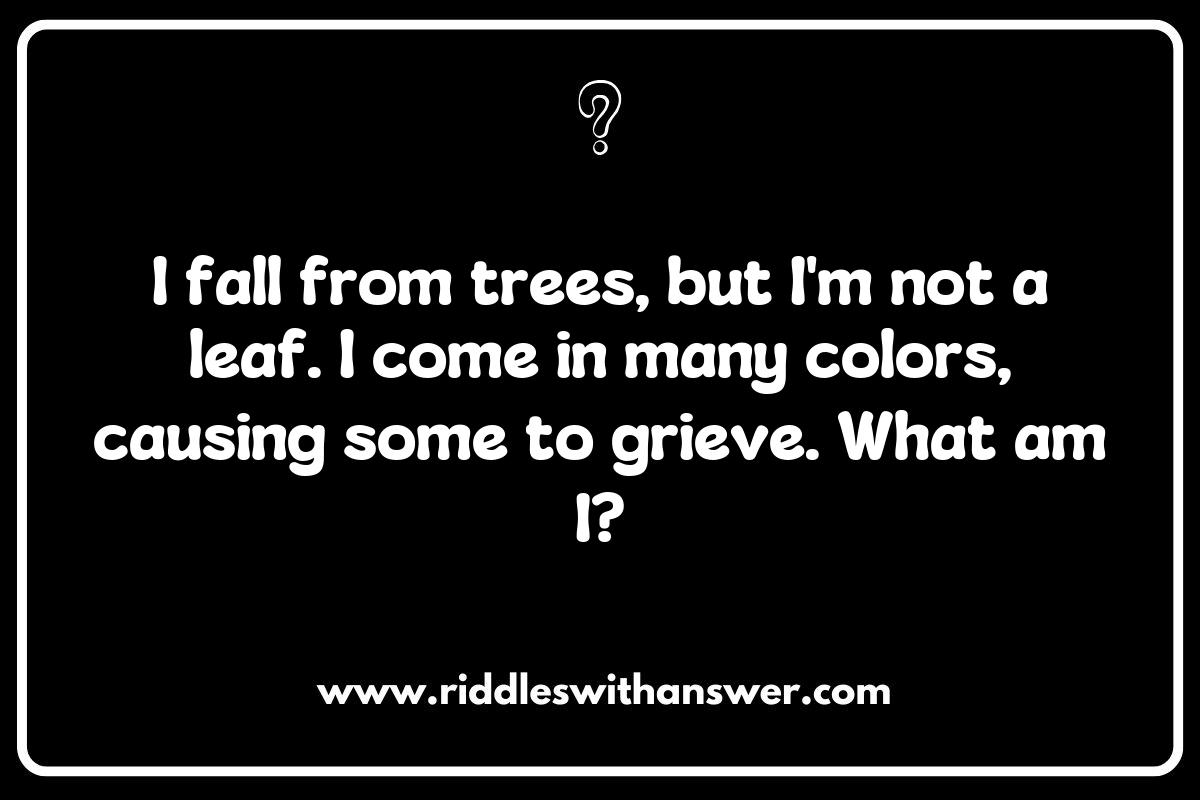 Seasonal Riddles for All Ages: Autumn Mysteries