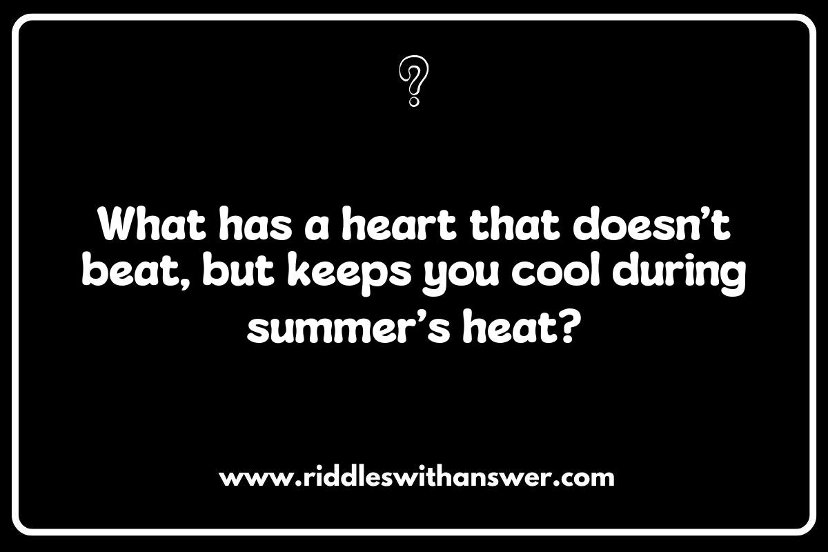 Seasonal Riddles for All Ages: Summer Adventures