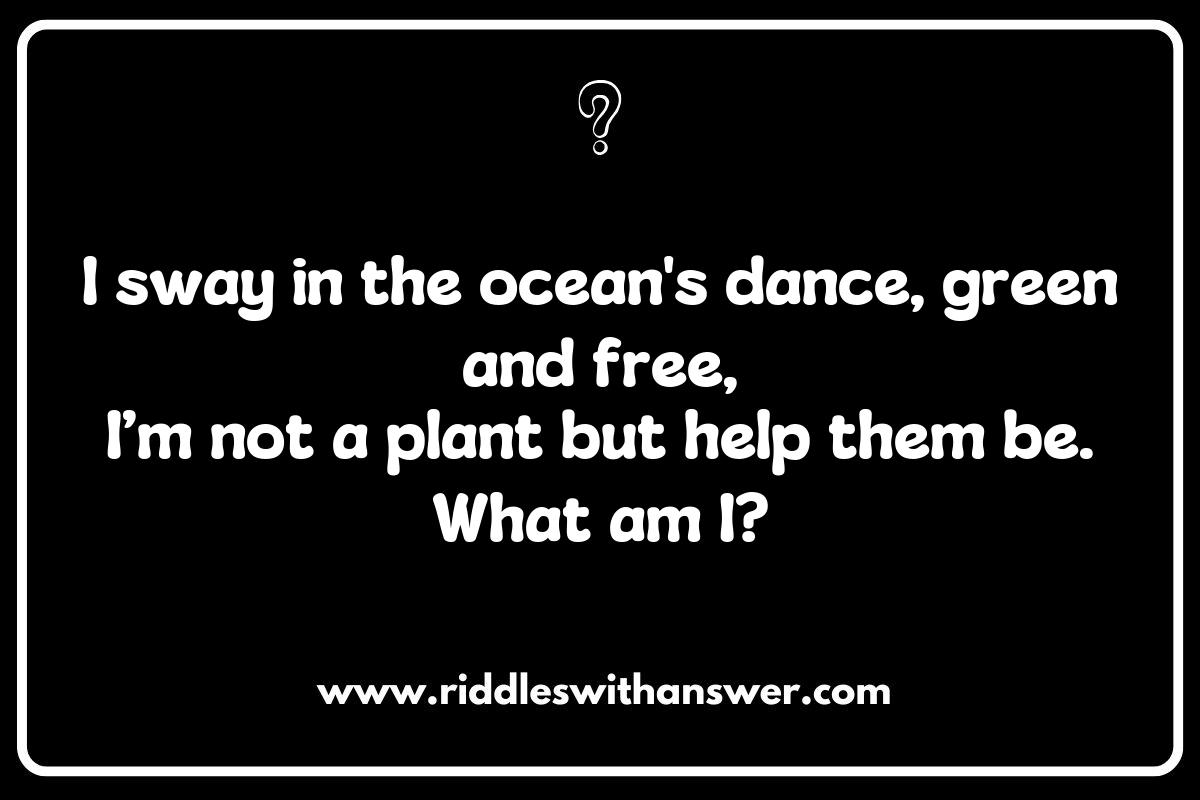 Seaweed and Kelp: The Ocean