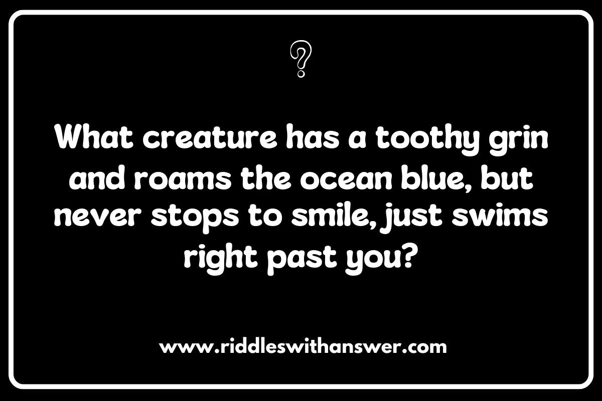 Shark Riddles: A Splash of Humor from the Ocean