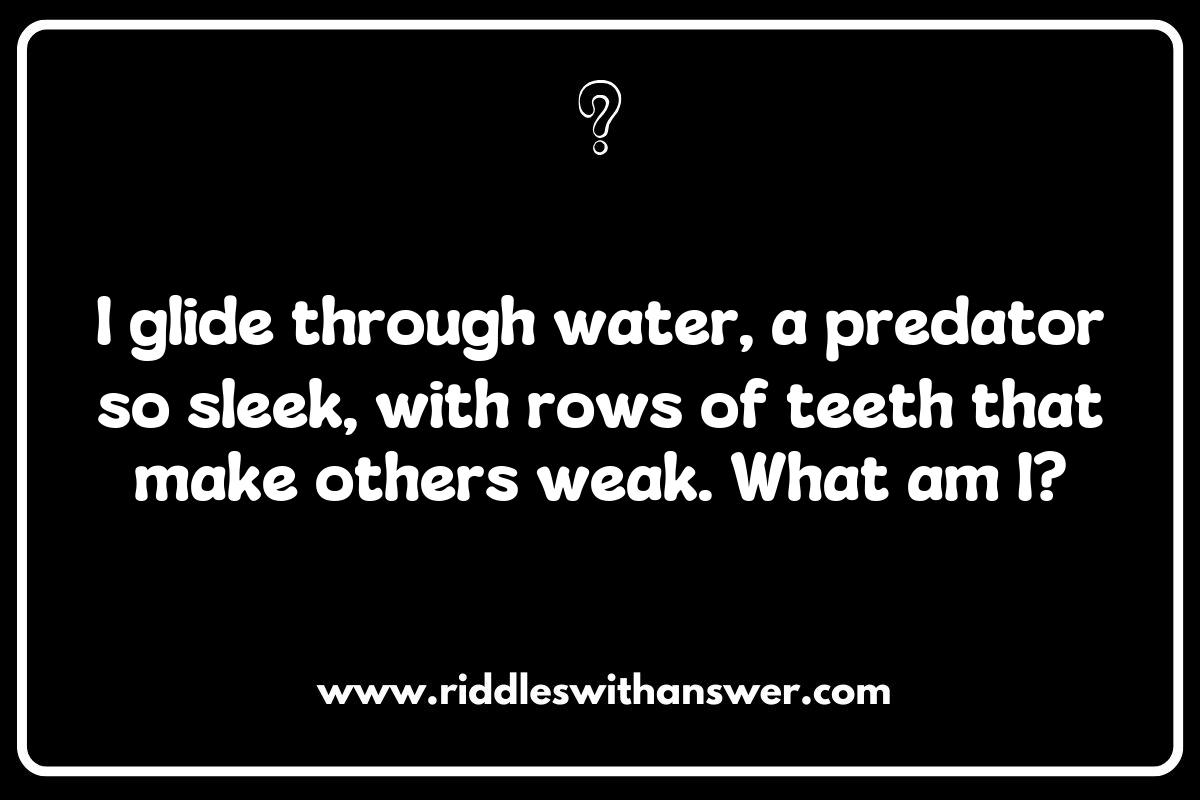 Shark Riddles: Dive into the Depths of Ocean Mysteries