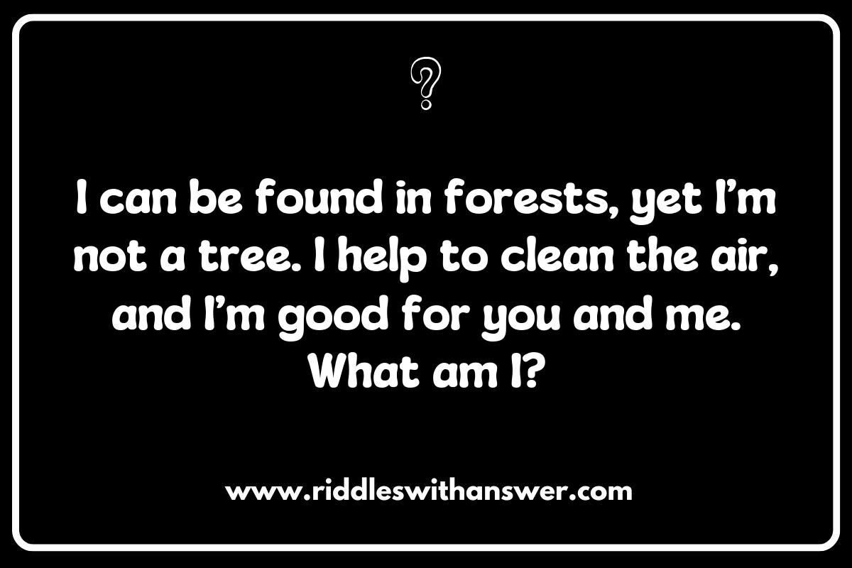 Sustainability Riddles: Inspiring Action through Thought-Provoking Questions