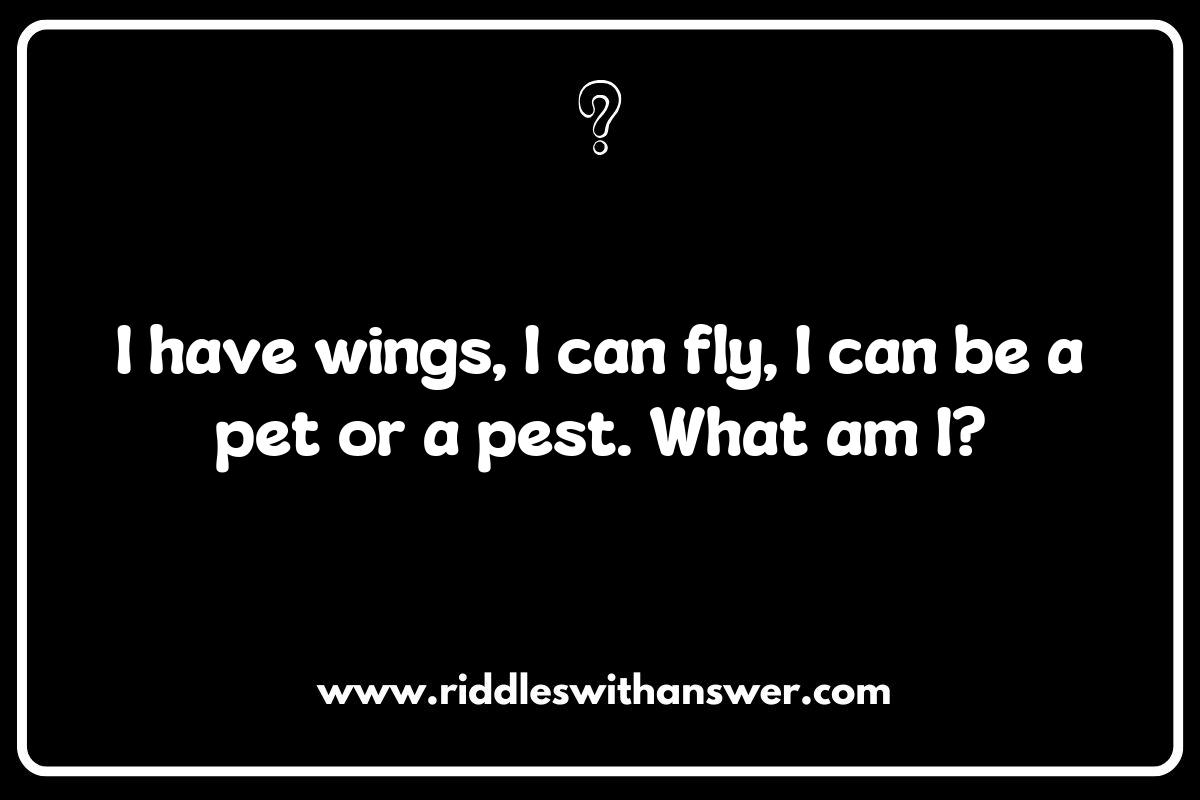 The Benefits of Using What Am I Riddles in Education