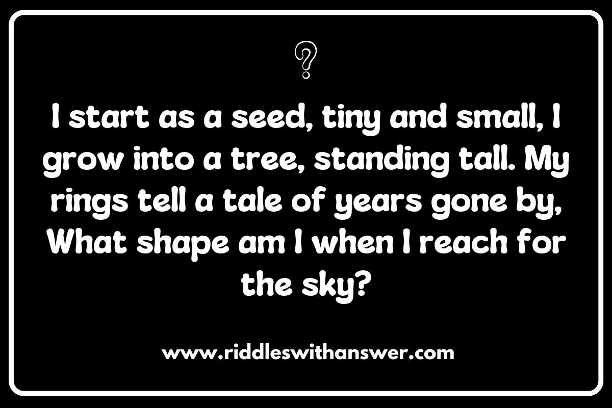 The Cycle of Life: Shapes in Nature Riddles Representing Ecosystems