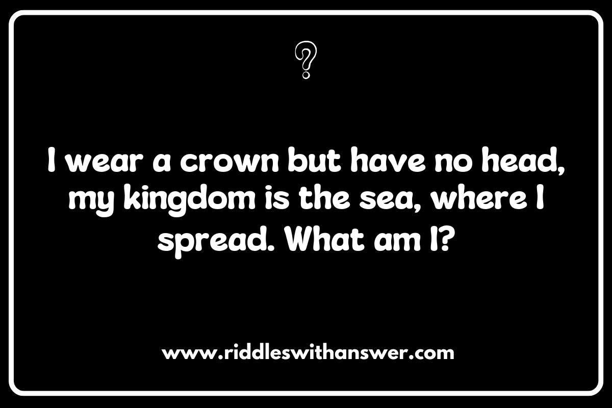 The Ecosystem of the Ocean: Riddles Highlighting Marine Life Interactions
