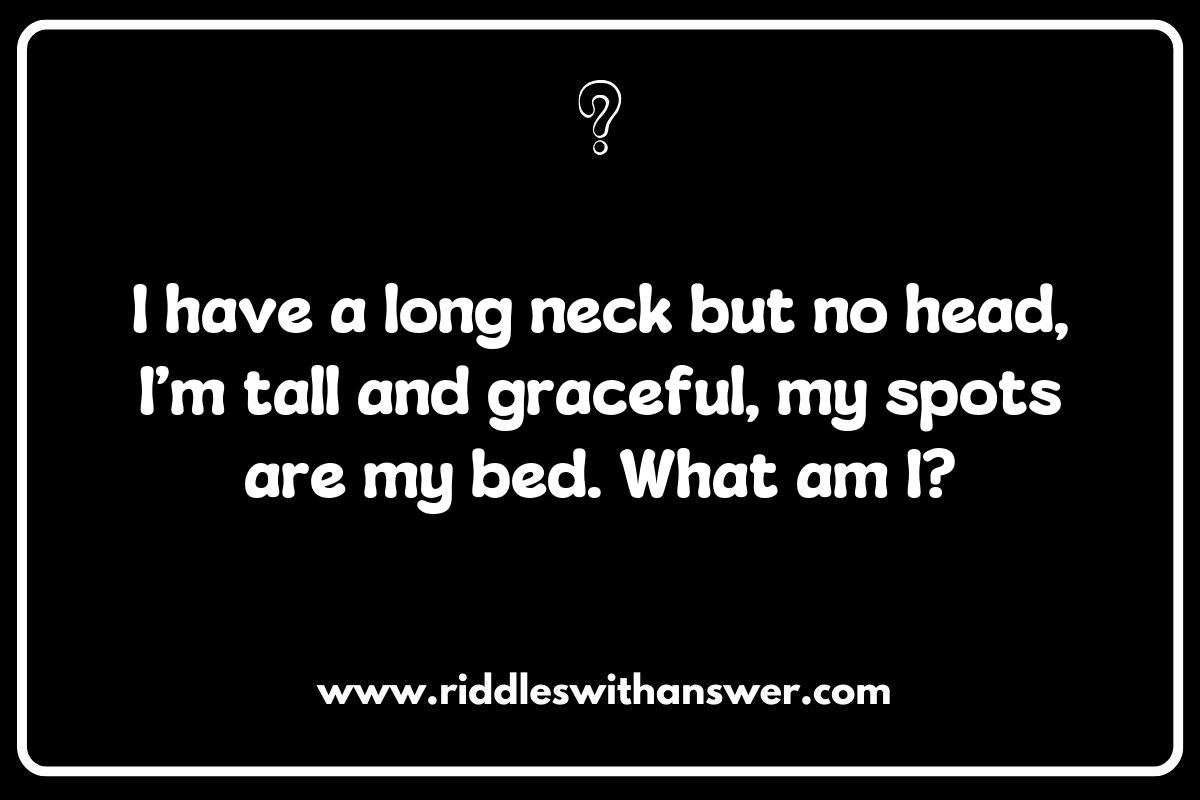The Educational Benefits of What is It Animal Riddles