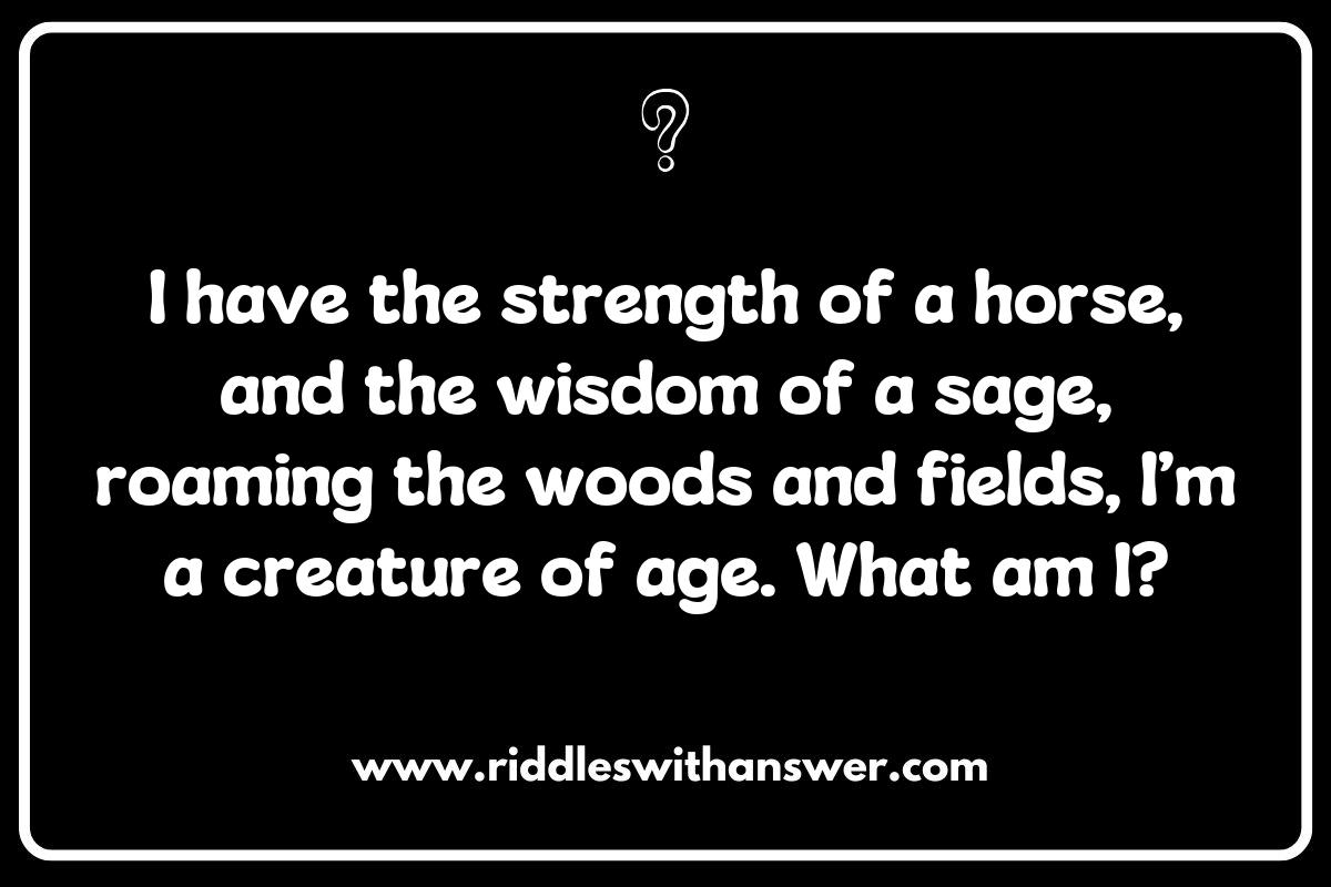 The Educational Value of Centaur Riddles for All Ages