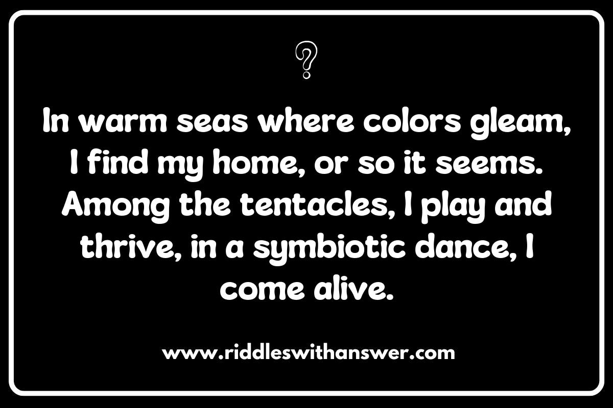 The Habitat of Clownfish Riddles: Where Do They Live?