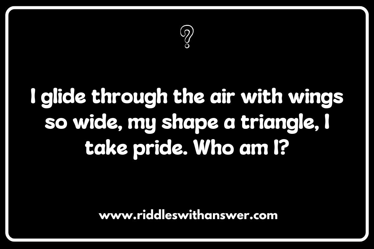 The Hidden Patterns of Animal Bodies: Shapes in Nature Riddles