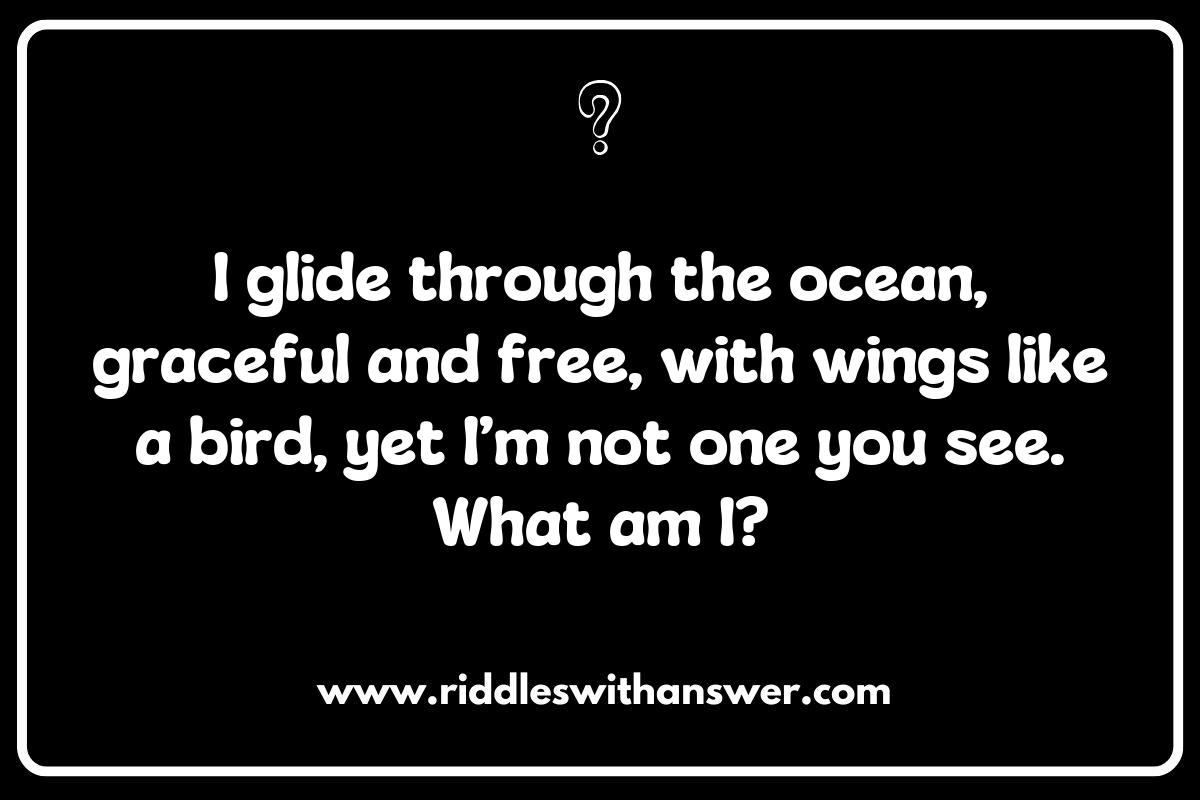 The Importance of Manta Ray Riddles in Marine Education