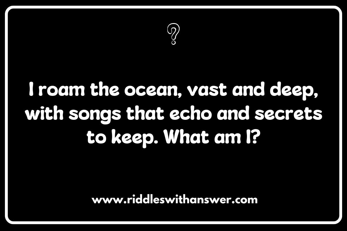 The Importance of Whale Riddles in Marine Education