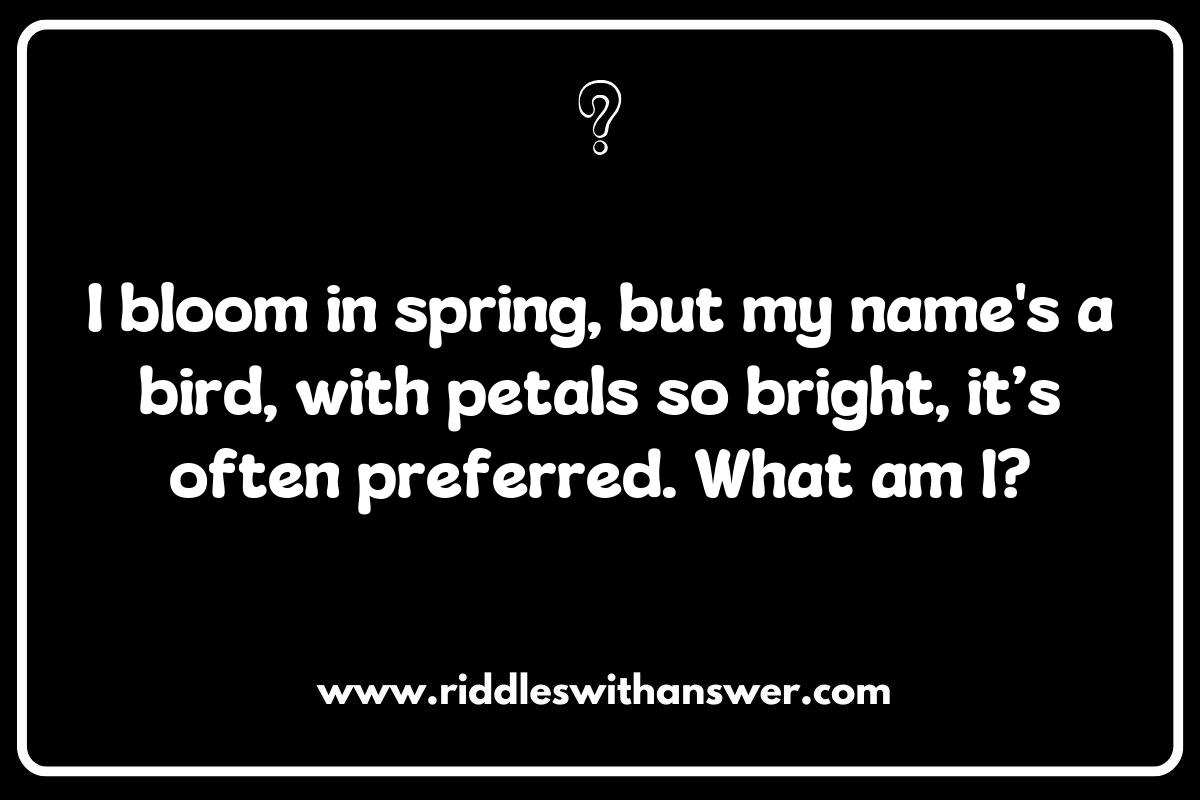 The Language of Flowers: Meaningful Flower Riddles to Solve