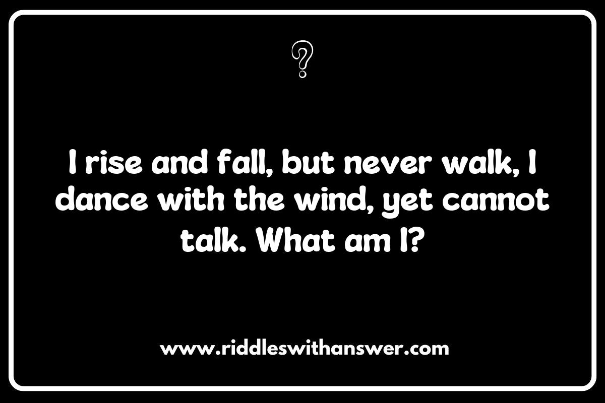 The Language of the Ocean: Riddles Inspired by Surfing Terms