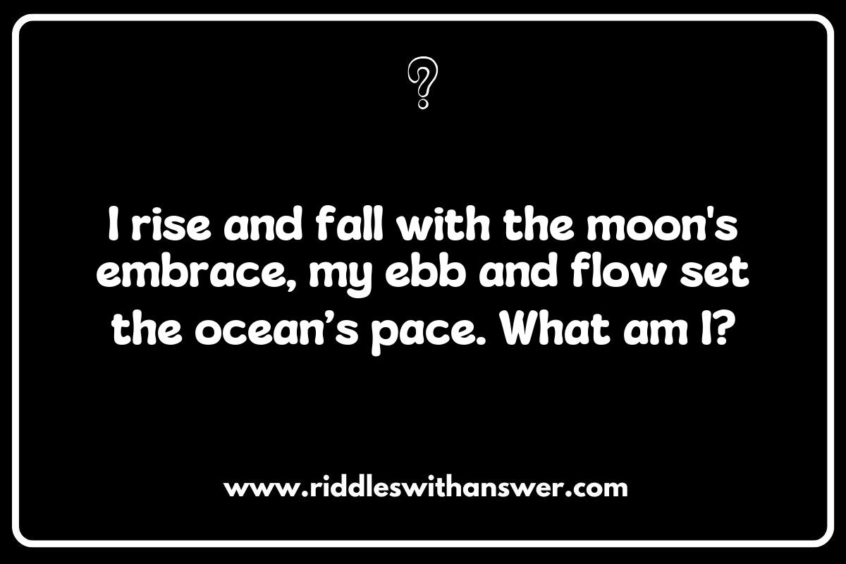 The Language of the Waves: Nautical Terms in Sailing and Sea Voyage Riddles
