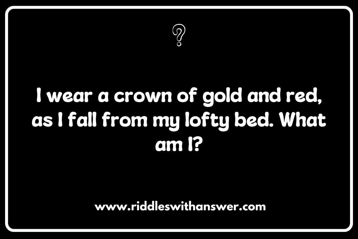 The Magic of Autumn: Riddles That Celebrate Fall