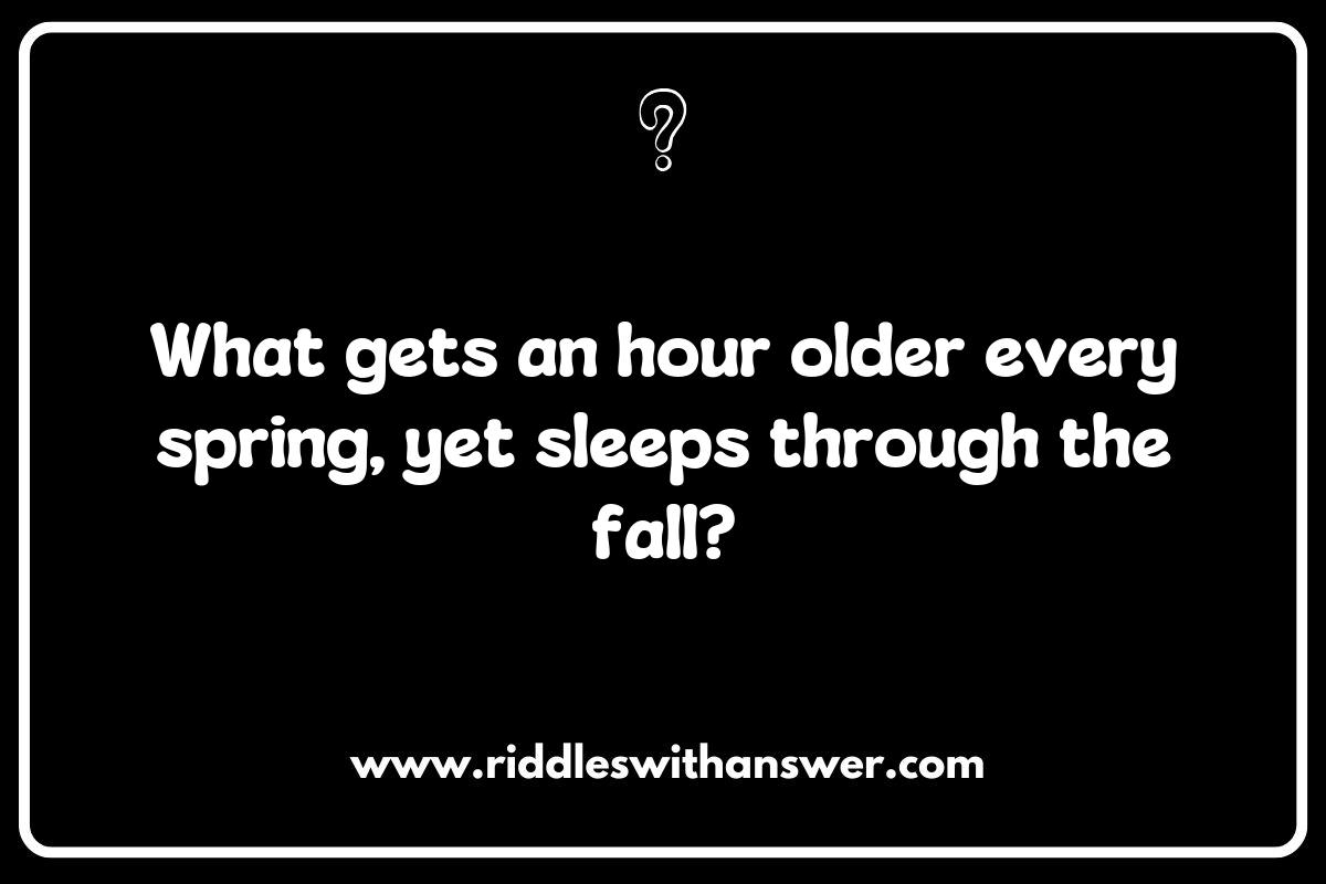 The Mystery of Riddles about Daylight Saving Time: Time Travel or Time Tweak?