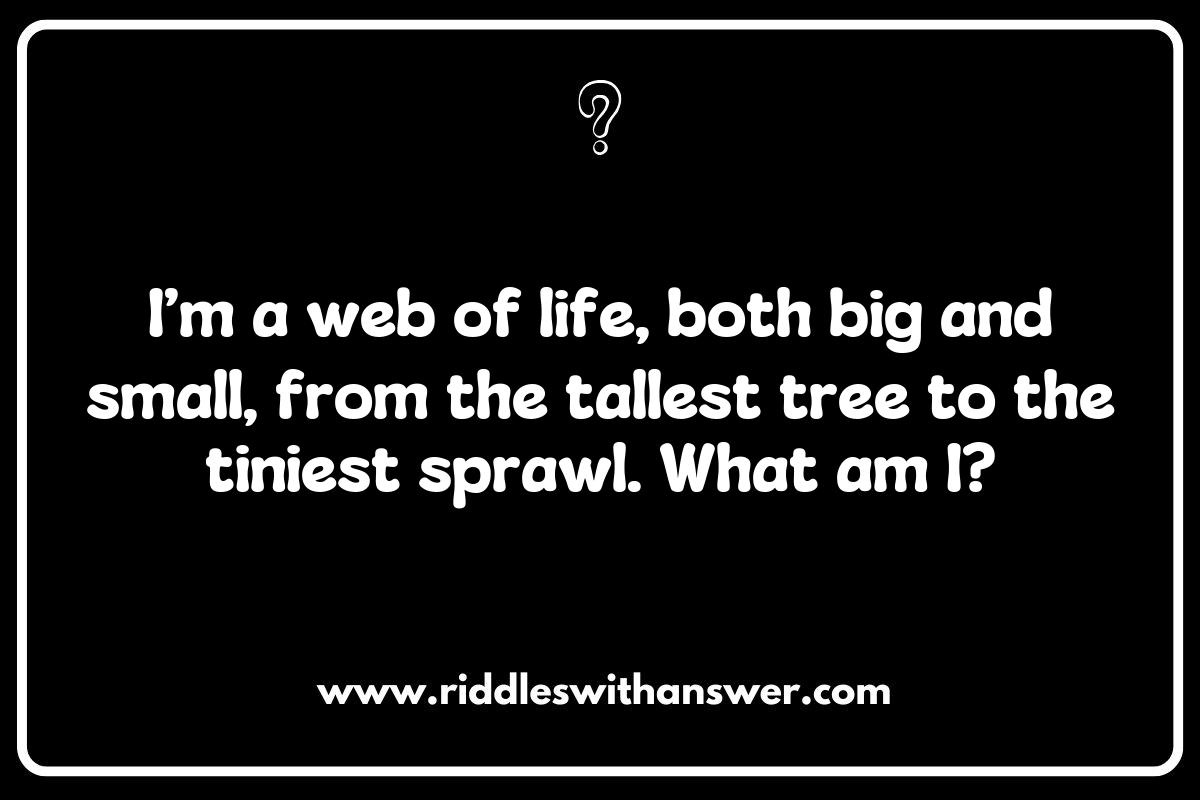 The Role of Biodiversity in Habitat and Ecosystem Riddles
