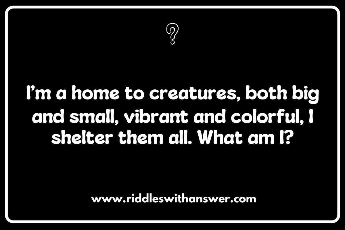 The Role of Coral Reefs in Nature: Riddles to Discover