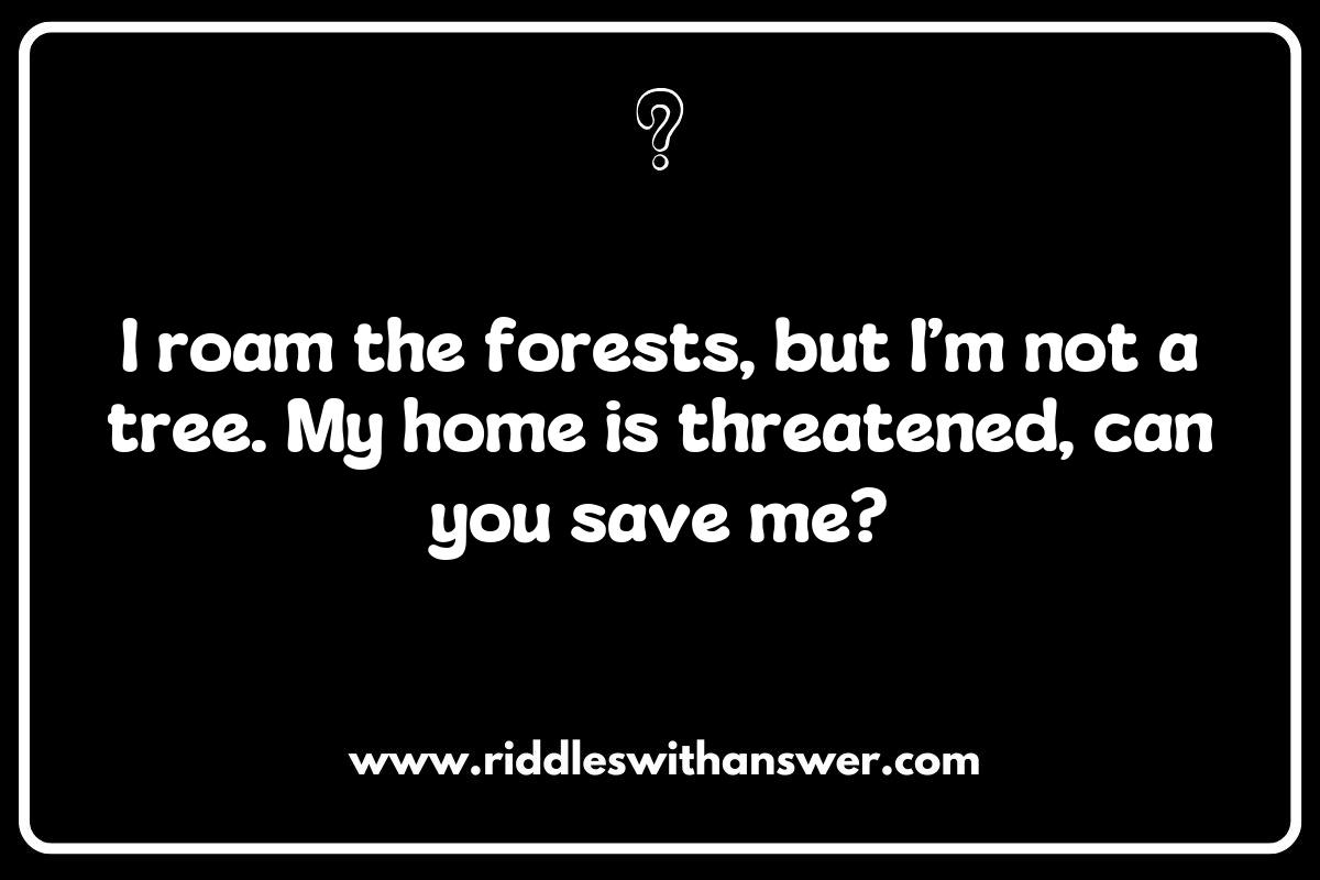 The Role of Endangered Species Riddles in Engaging Communities