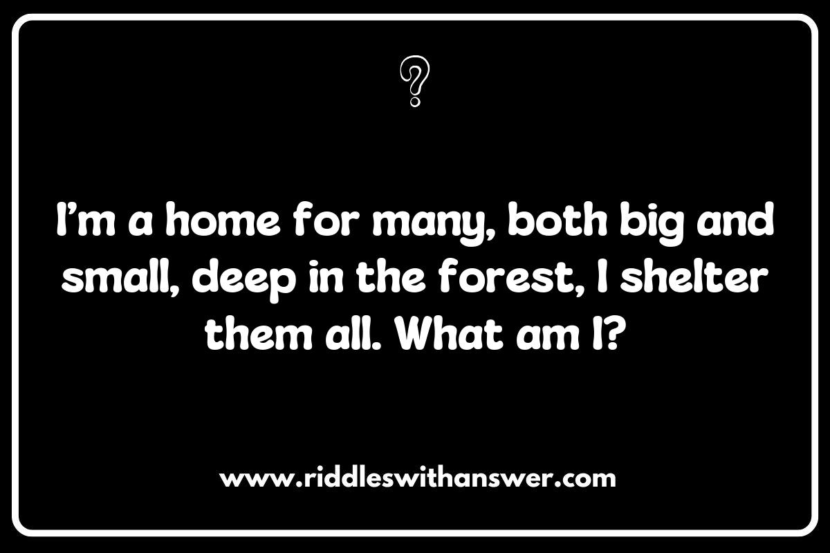 The Role of Habitats in Wildlife Protection Riddles