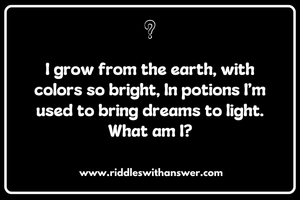 The Role of Ingredients in Magic Spells and Potions Riddles
