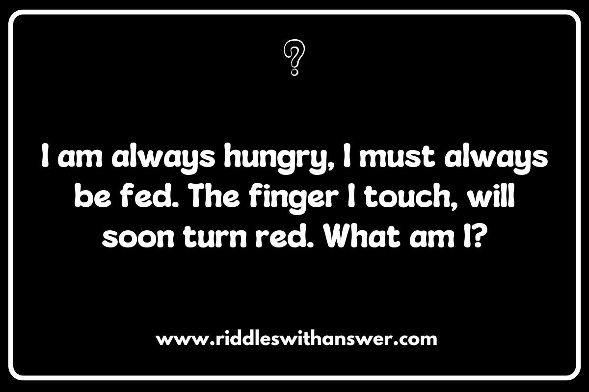 The Role of Language in Hard Word Riddles for Adults: Unpacking Wordplay and Puns