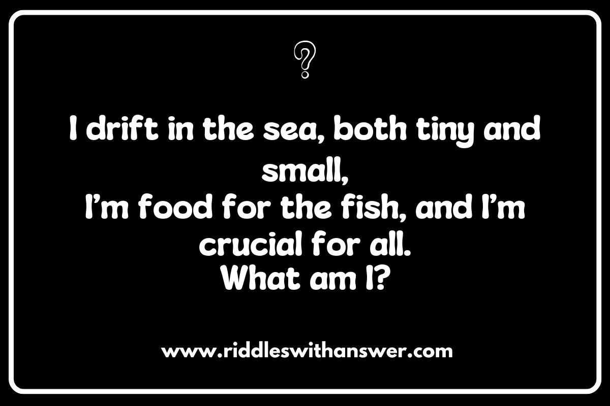 The Role of Plankton: Intriguing Marine Ecosystem Riddles