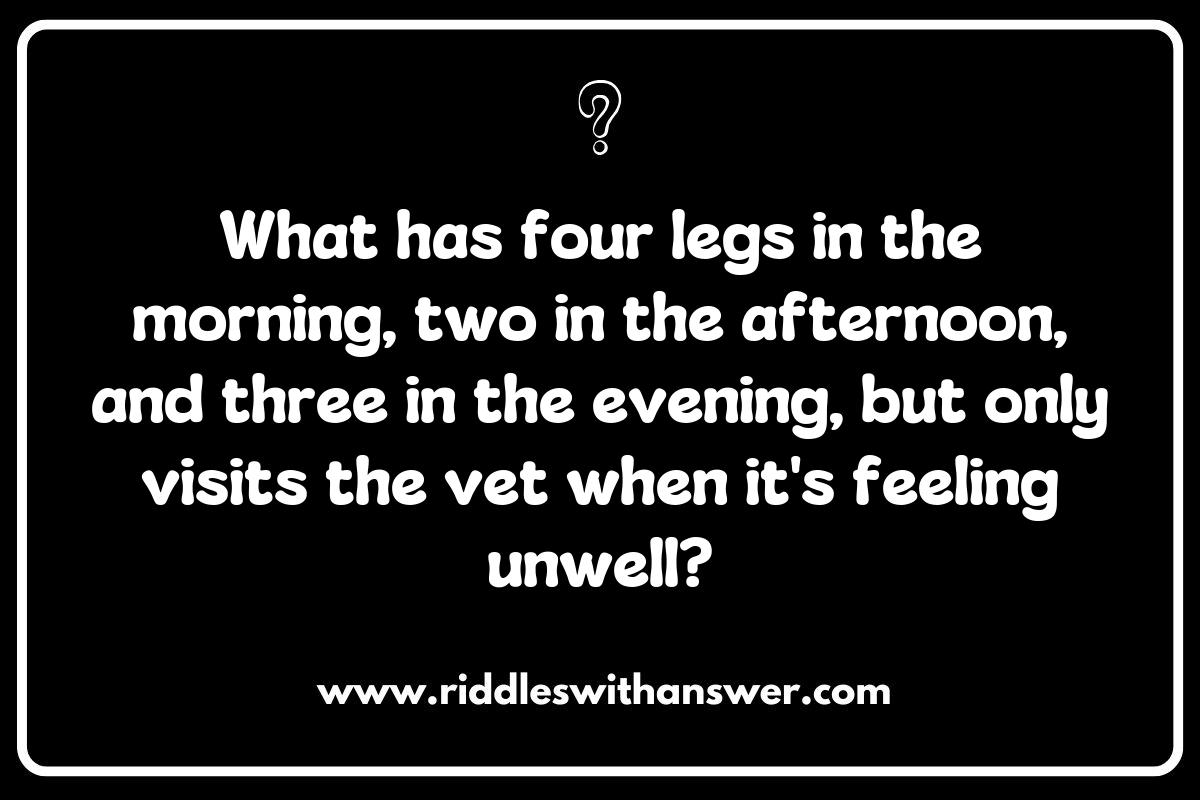 The Role of Veterinarian Riddles in Veterinary Education
