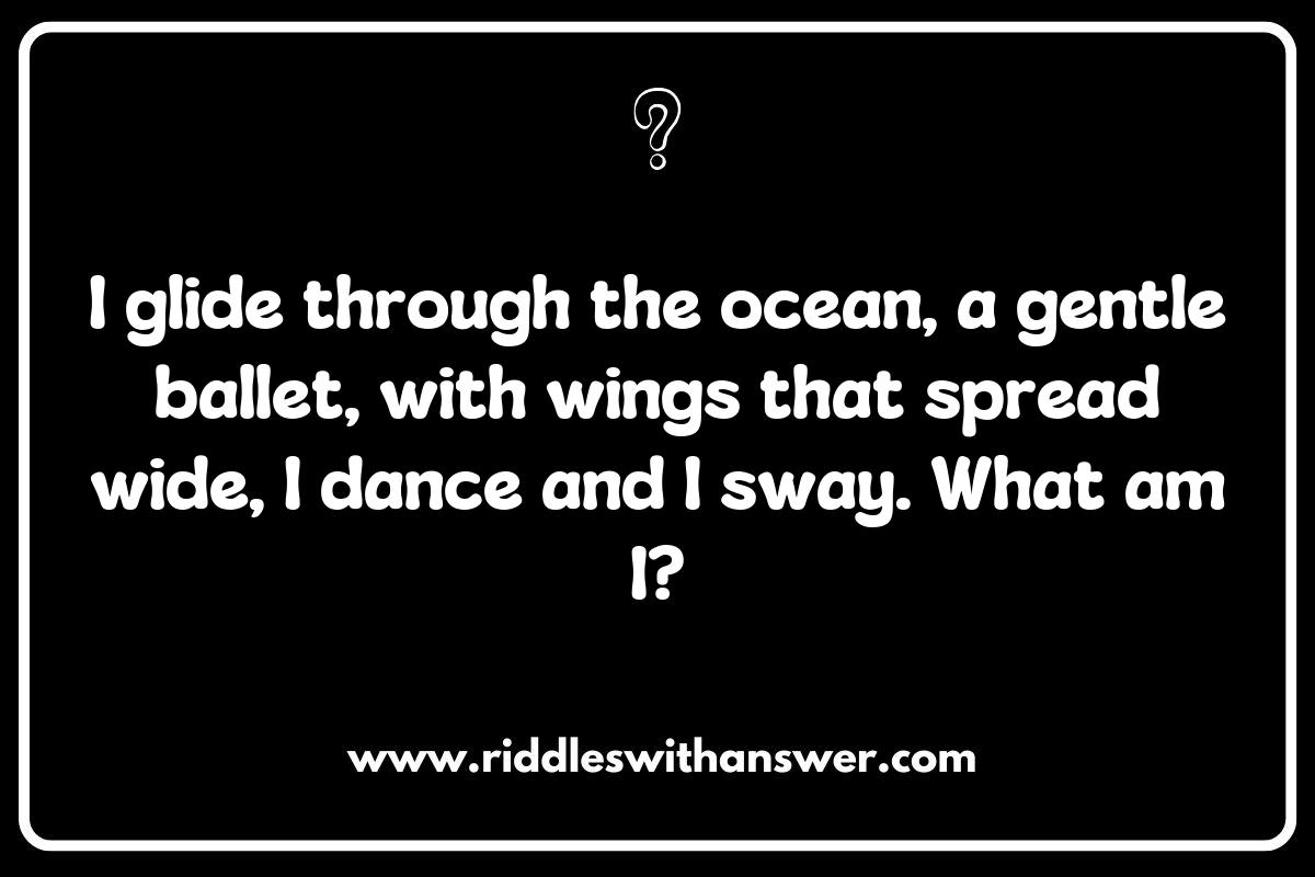 The Science Behind Manta Ray Riddles: Fun Facts and Trivia