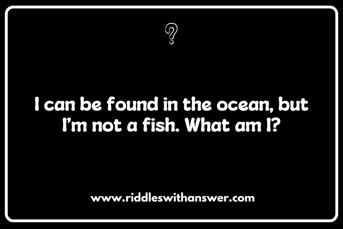 The Science Behind Word Riddles with Puns: Why We Love Them