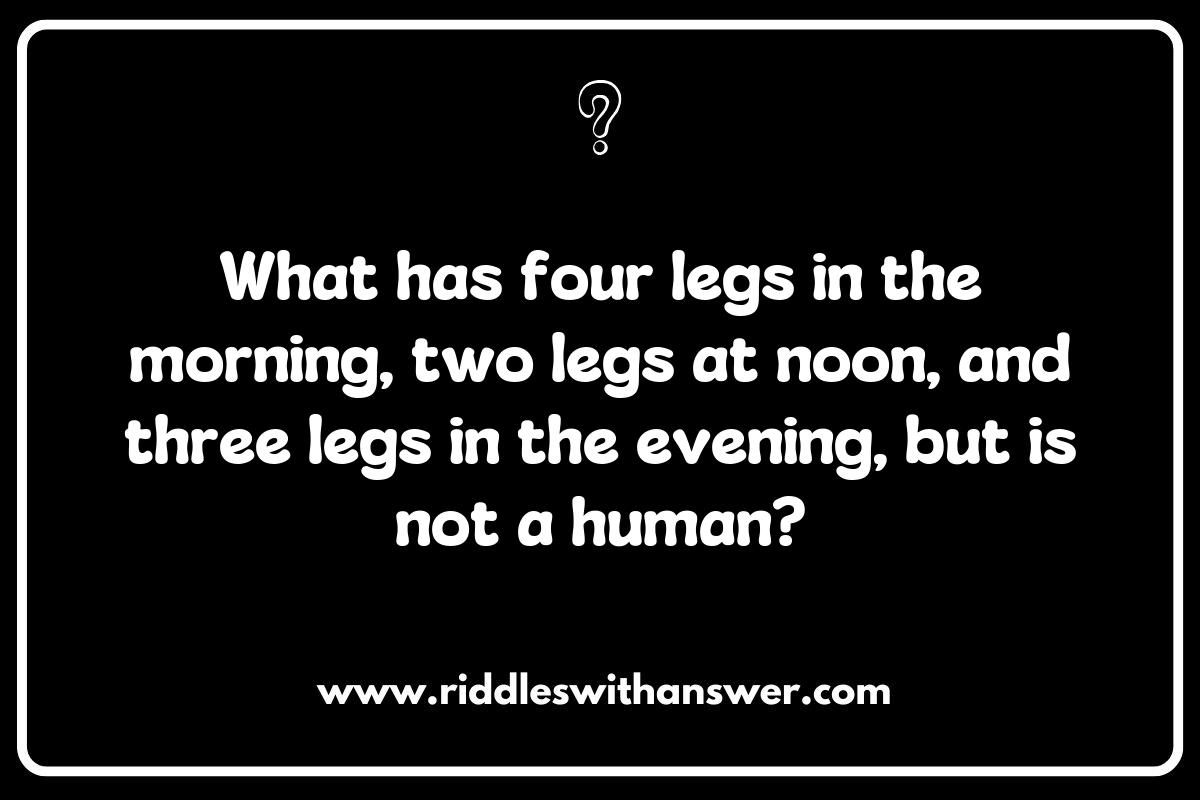 The Therapeutic Benefits of Solving Veterinarian Riddles for Animal Enthusiasts