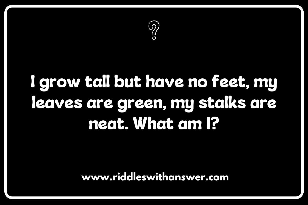 The Wisdom of Farmer and Gardener Riddles: Cultivating Cleverness