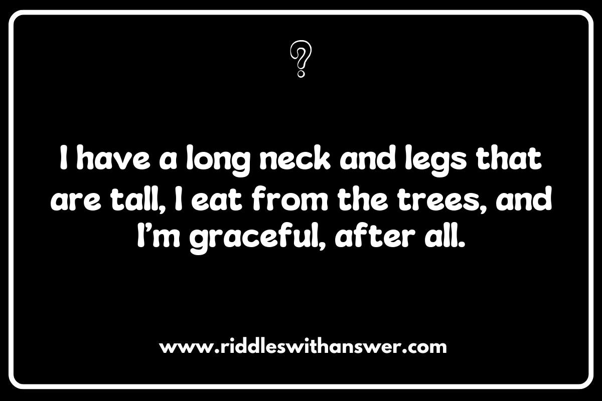 Top 10 Animal Riddles for Kids That Will Make Them Think