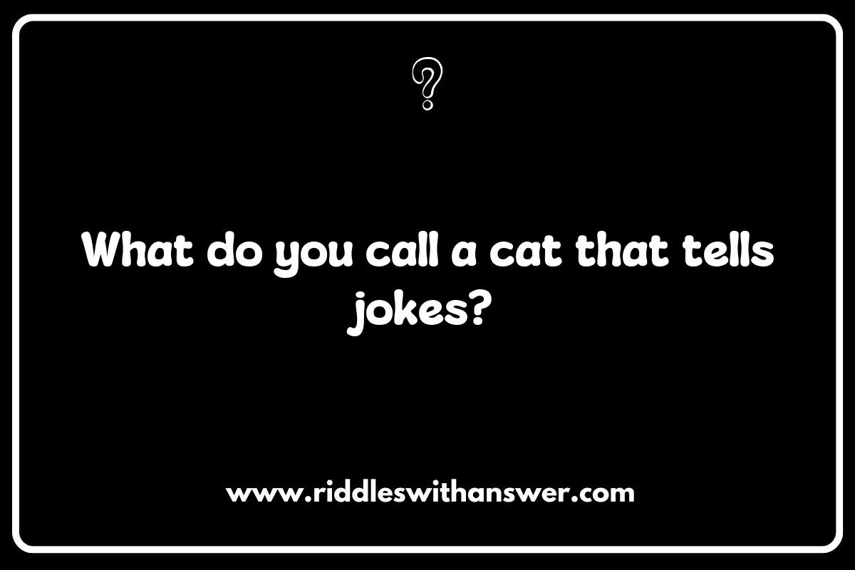 Top 10 Talking Animal Riddles That Will Make You Chuckle