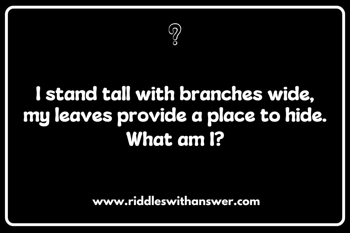 Tree or Plant