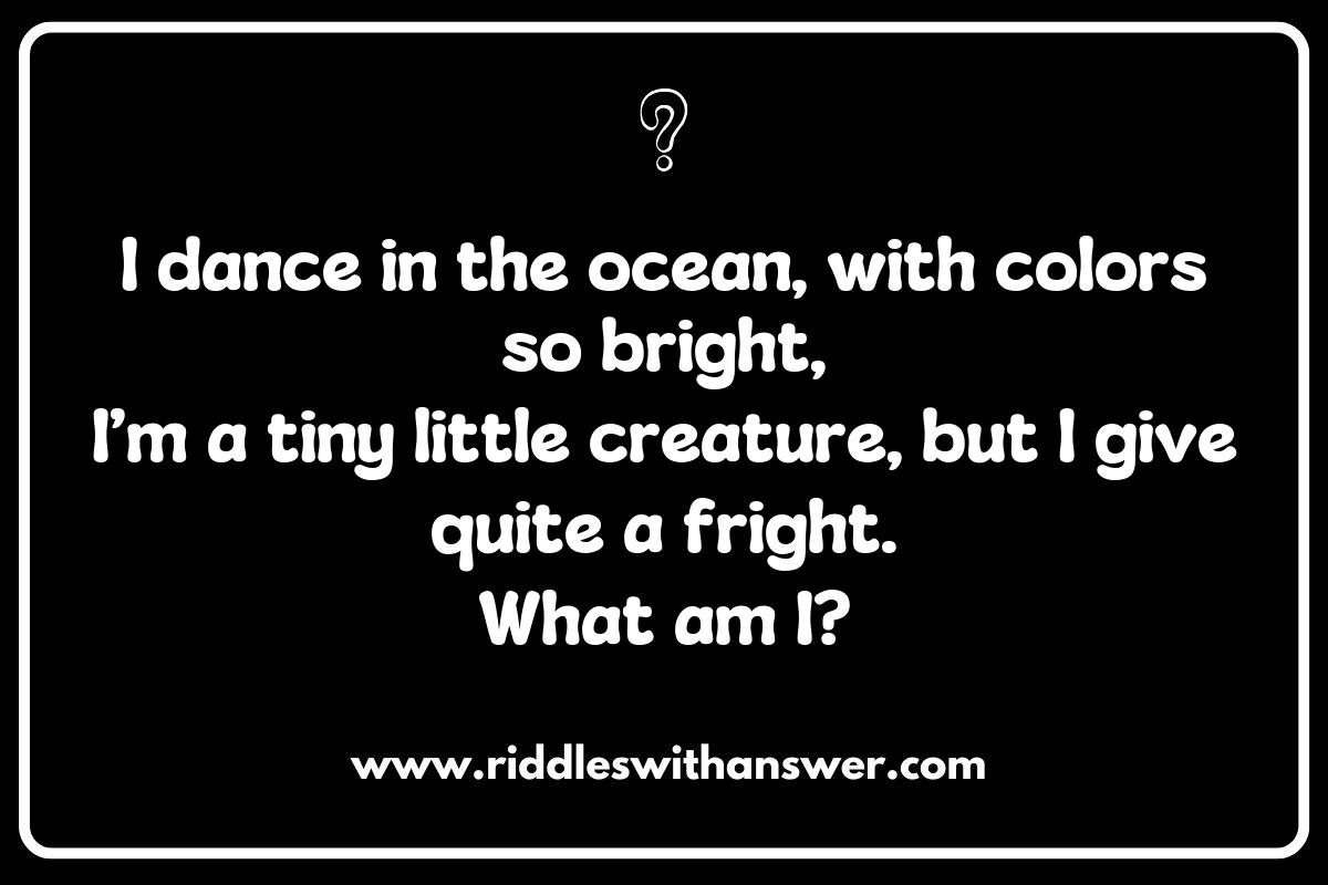 Uncovering Hidden Creatures: Coral Reef Riddles for Adventure
