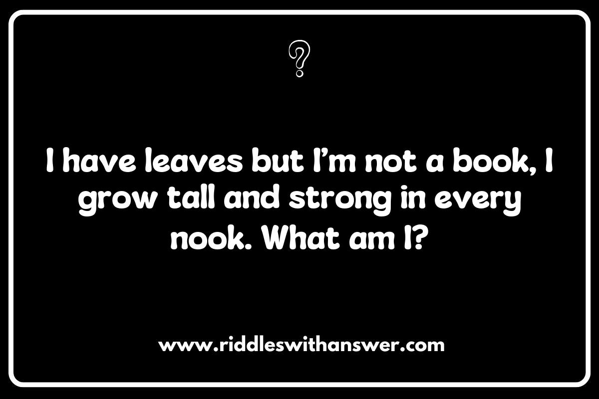 Understanding Plant and Tree Riddles: A Fun Introduction