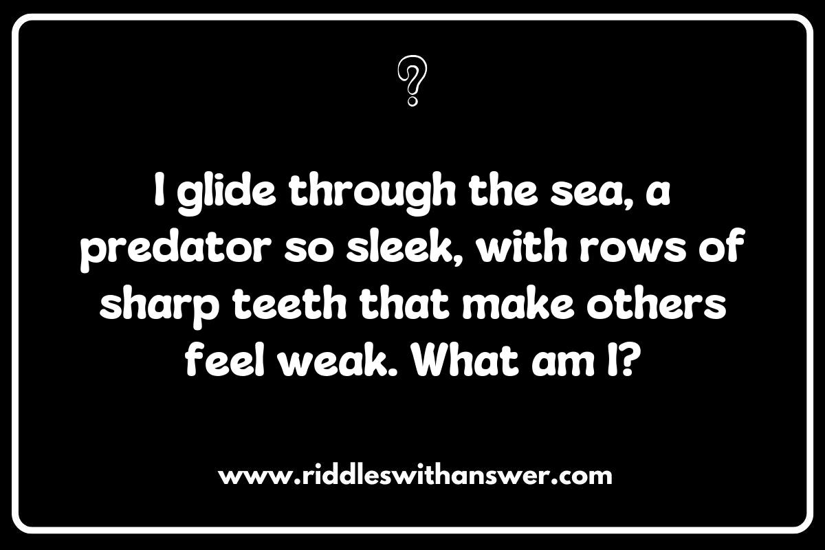 Underwater Whispers: Creative Shark Riddles for All Ages