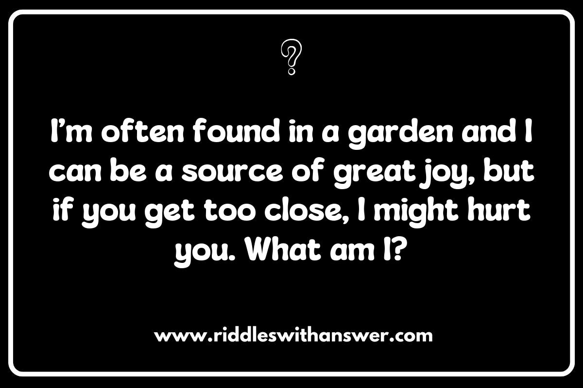Unique Fun Riddles for Adults: Stand Out from the Crowd